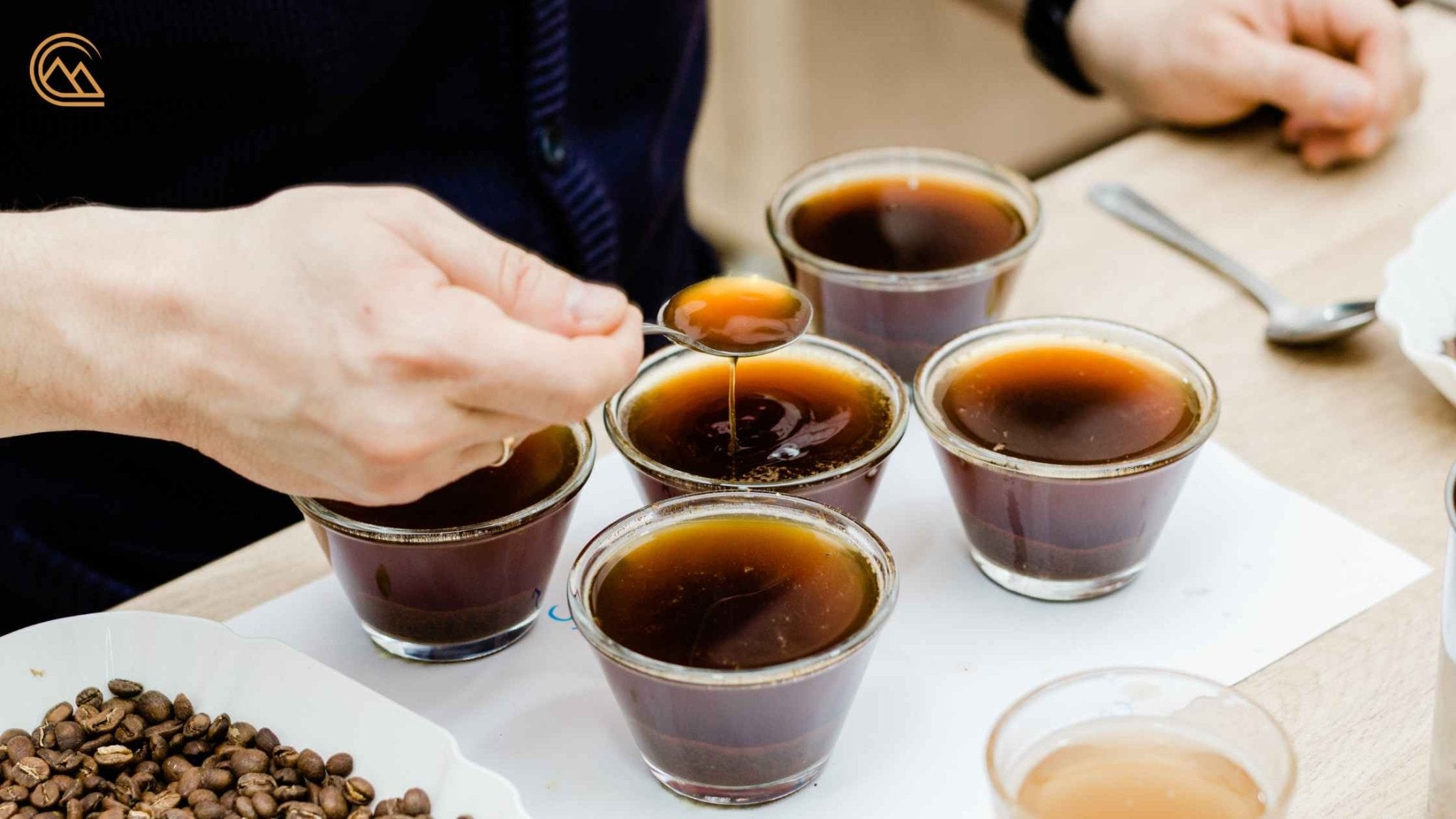Coffee Tasting 101: How to Taste Coffee like a Pro - Canche Coffee