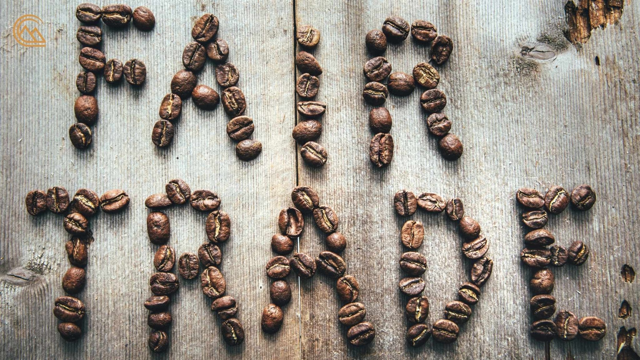 Exploring Fair Trade and Sustainable Coffee Practices - Canche Coffee