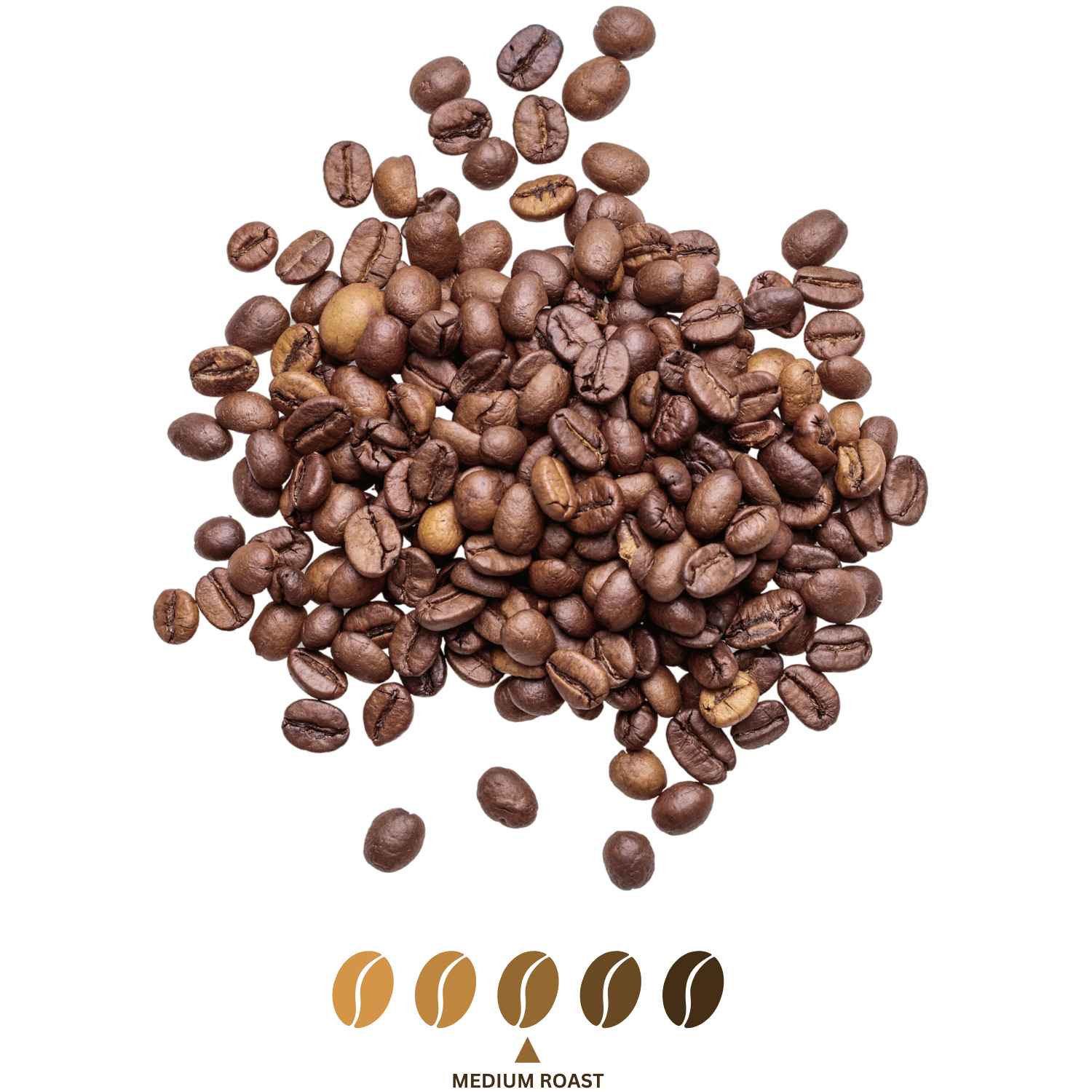 Papua New Guinea - Canche Coffee